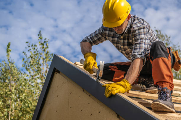 Best Chimney Flashing Repair  in South Jacksonvle, IL